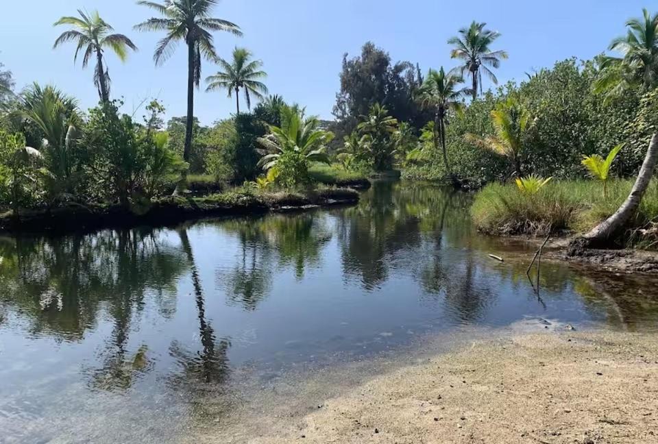 Photo of Others in Keaukaha