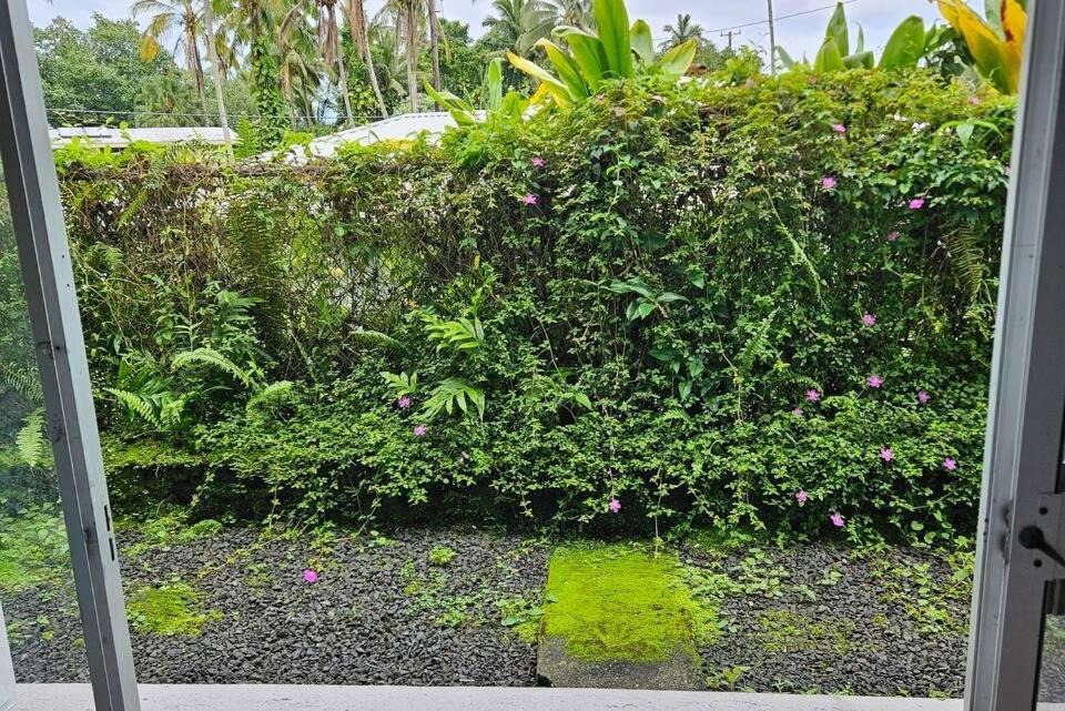 Photo of Others in Keaukaha