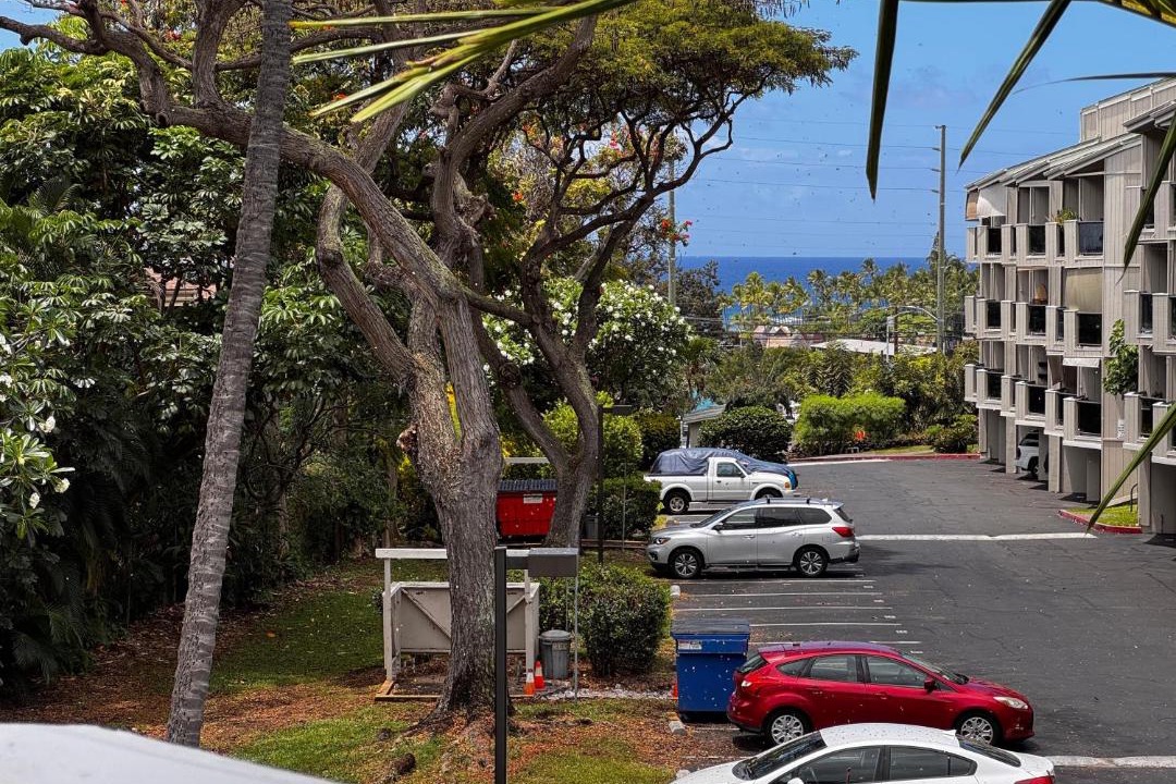 Photo of Others in Historic Kailua Village