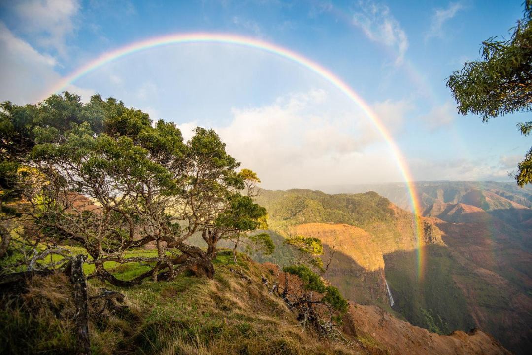 Photo of Others in Wailua