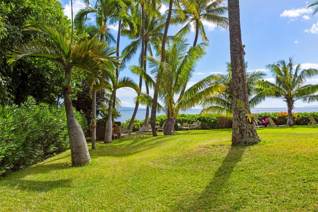 Photo of Others in Maalaea