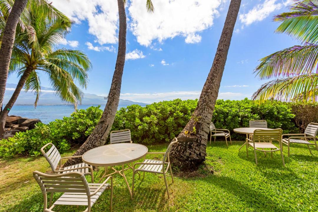 Photo of Others in Maalaea