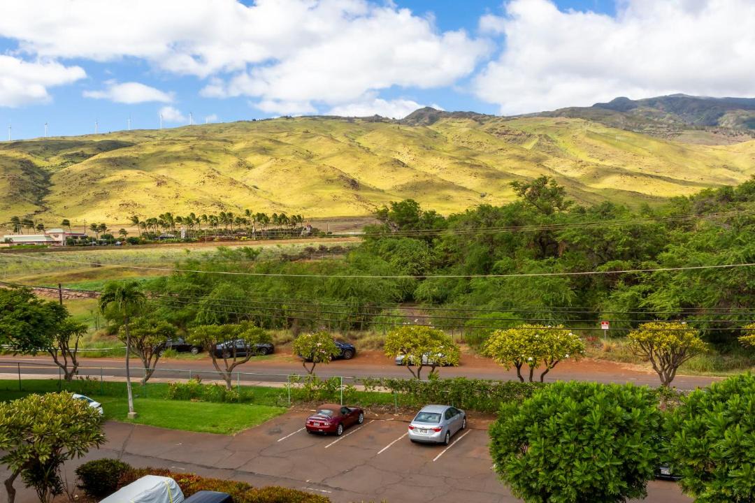 Photo of Others in Maalaea