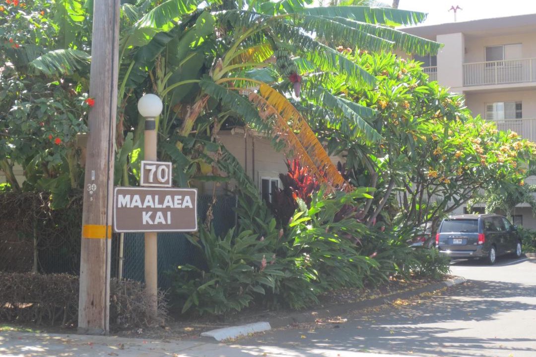 Photo of Others in Maalaea