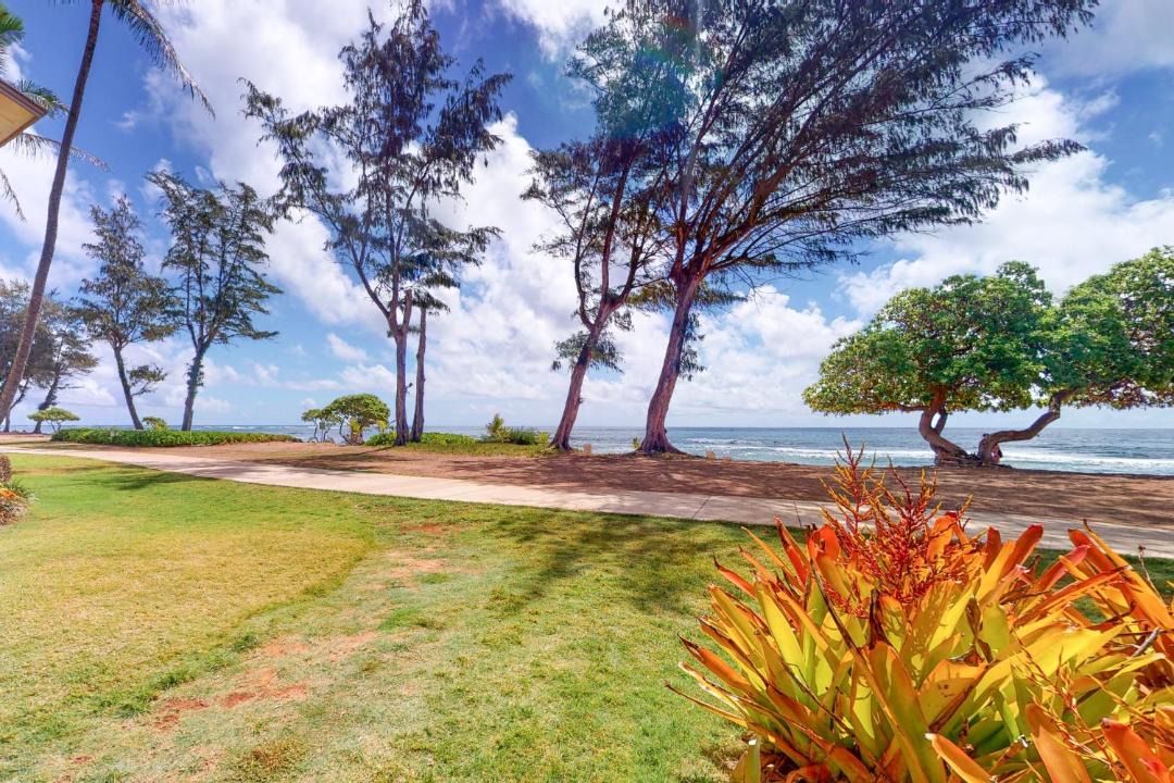 Photo of Others in Wailua