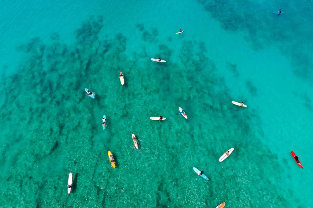 Photo of Others in Diamond Head - Kapahulu - St. Louis