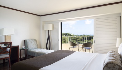 Partial Ocean View King