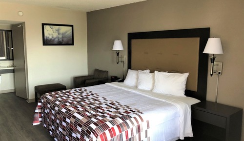 Superior Room, 1 King Bed, Non Smoking (Roll-In Shower)
