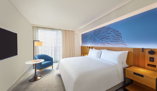 Room, 1 King Bed, City View