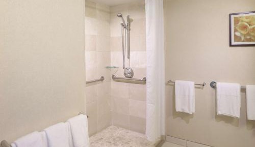 King Room with Roll-In Shower - Disability Access