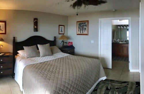 Kahana Condo | A/C!15% Off Kahana Sunset 2BR/2BA Beautiful Condo Near Kaanapali Napili Kapalua