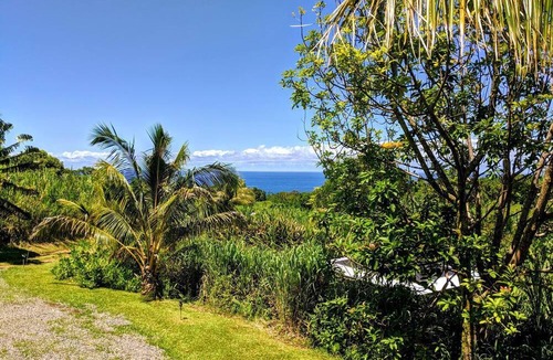 Pepeekeo Cabin | Ocean View King Rental near Akaka Falls, Hawaii