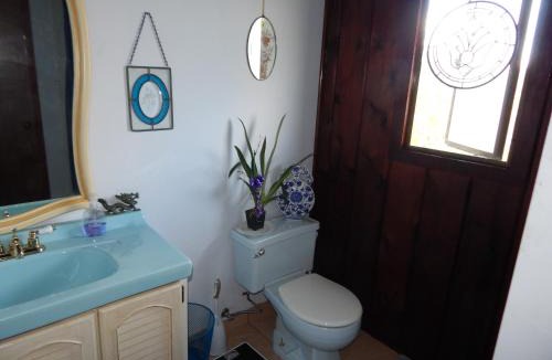 Fern Forest House | Fern Forest Getaway