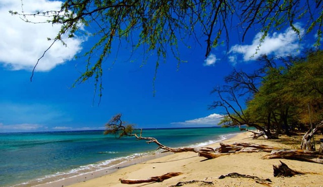 Embark on a journey through Maui with Aloha Glamp