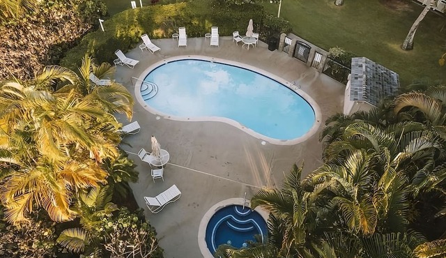 Family and Friends Vacation! Spacious Pool View Suite + Living Area and Kitchen